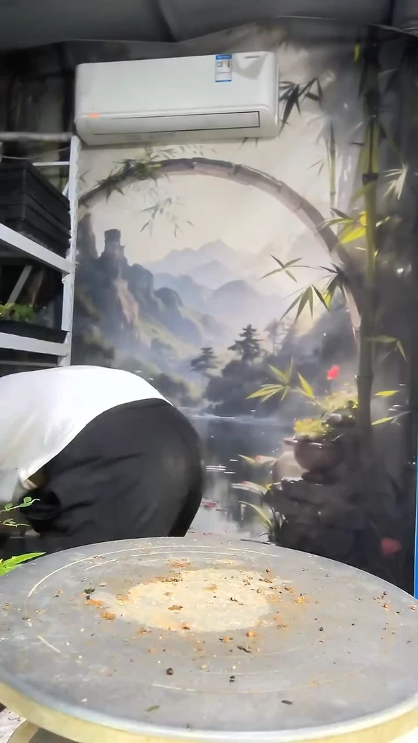 小*中青园艺一物一拍147