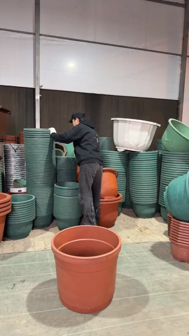 45口径红色欧花有孔，5个