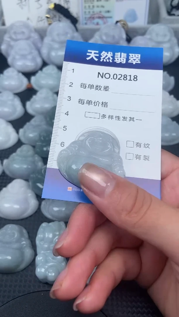 颈饰未镶嵌翡翠纯天然A货翡翠2818