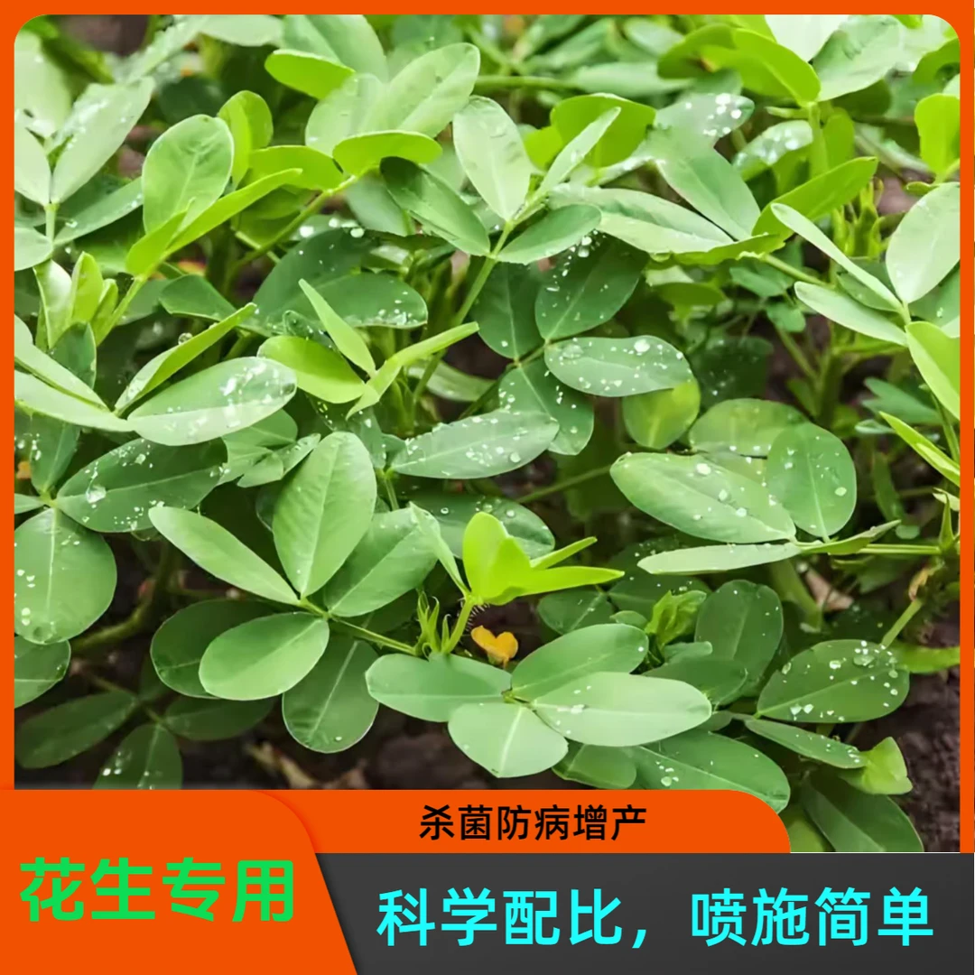 花生专用 杀菌防病增产助手