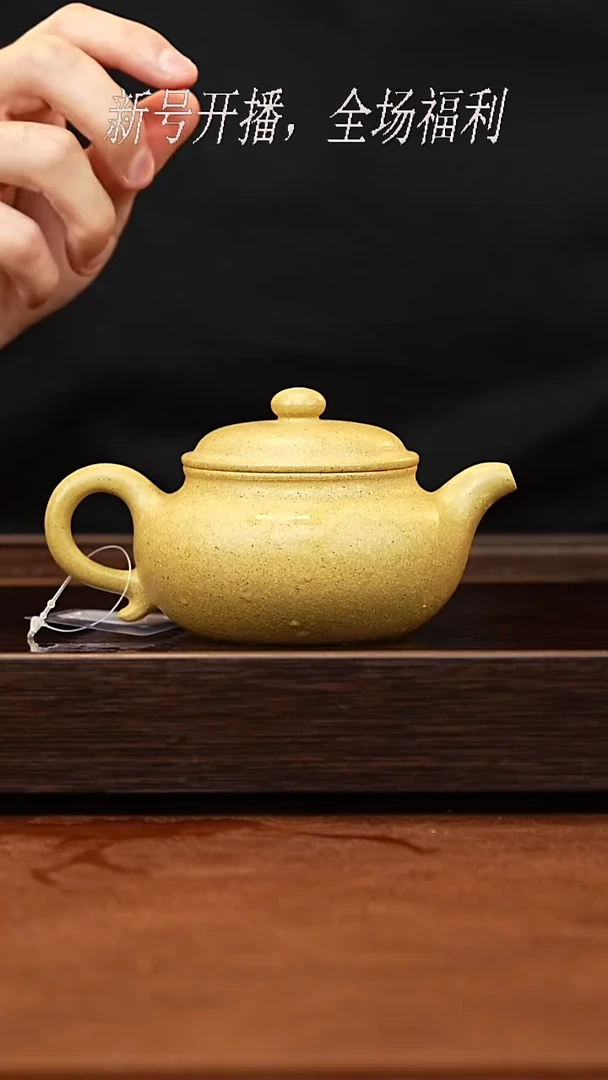 茶壶紫砂21y16芝麻段仿古