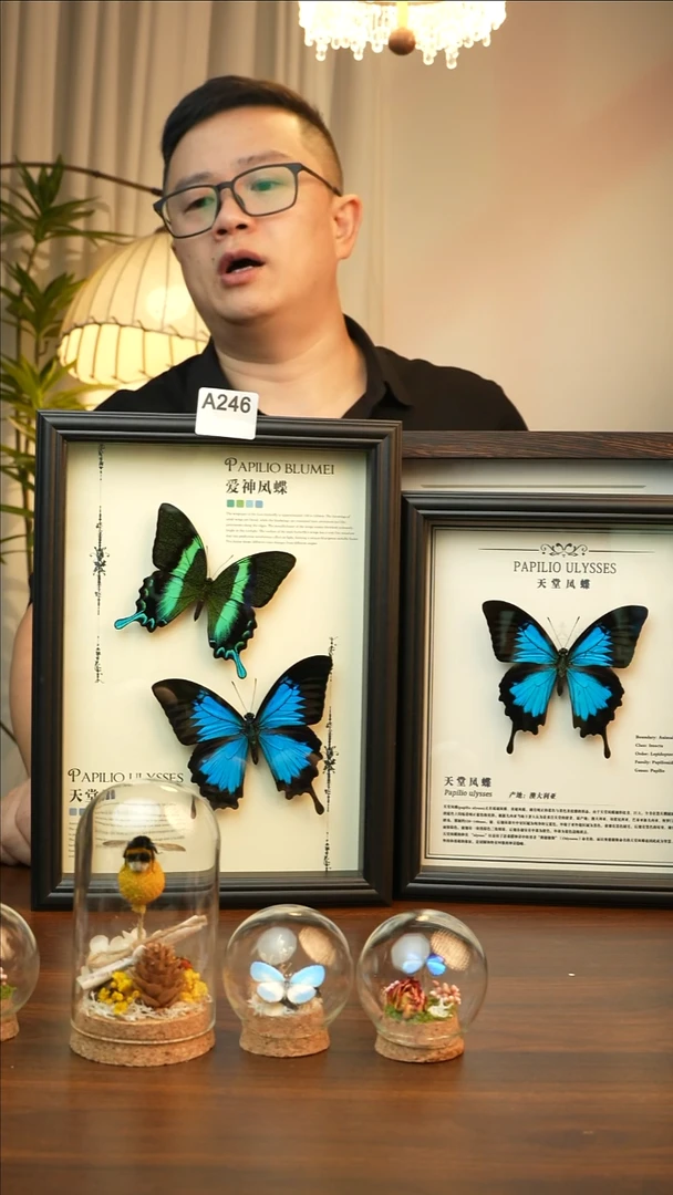 爱神凤蝶天堂凤蝶组合款(A4欧式黑框)A246