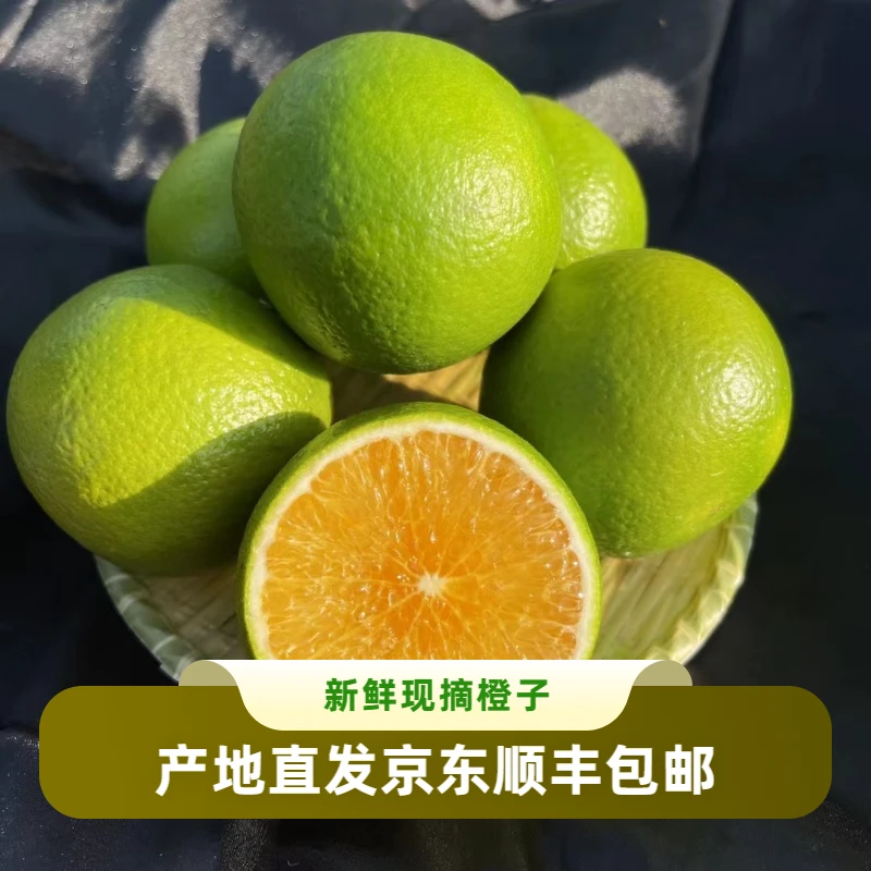 海南琼中绿橙果园礼盒一级果皮薄汁多10斤现摘现发京东包邮