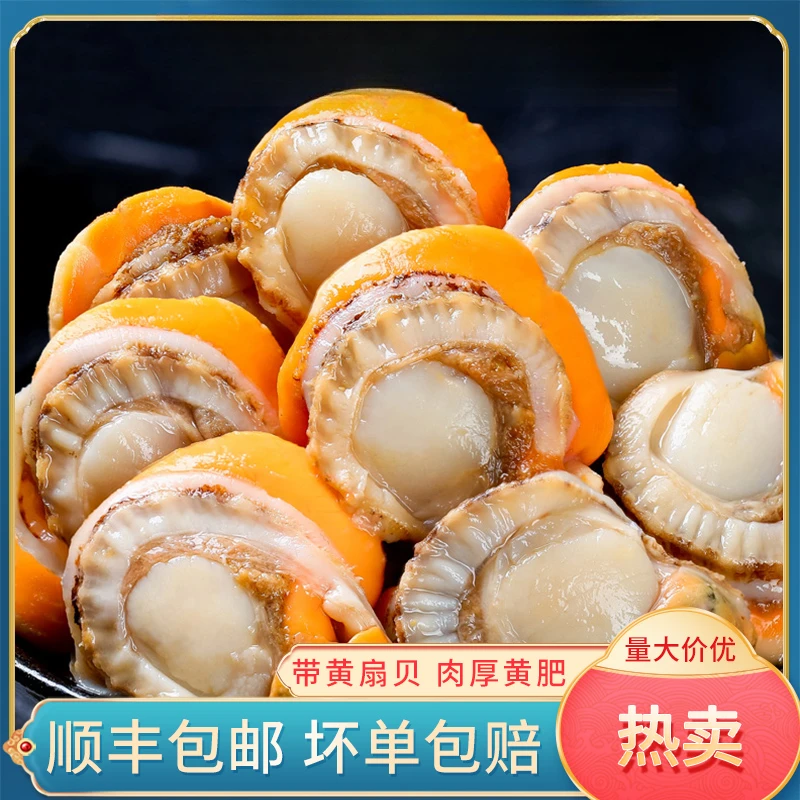 【小明正能量专属】山东鲜剥扇贝肉 鲜甜味美 新鲜无沙无冰 150g
