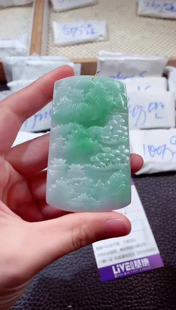 翡翠未镶嵌颈饰00000365