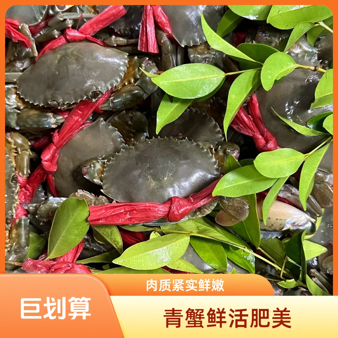 东山岛红膏蟹红鲟有膏有黄顺丰到家死蟹包赔海鲜青蟹