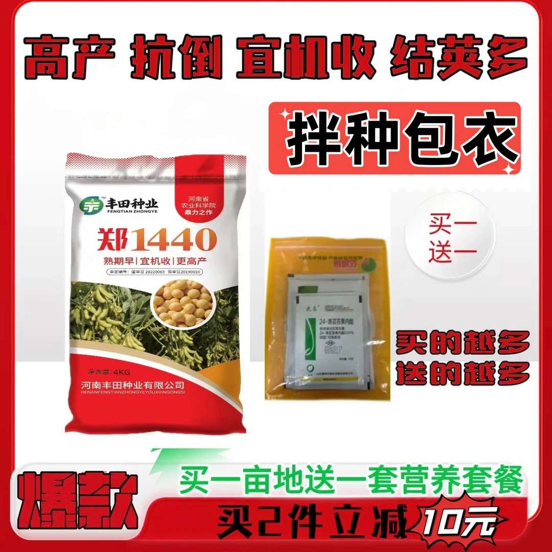 国审大豆郑1440结荚多高产抗倒宜机收夏季大豆拌种包衣抗病