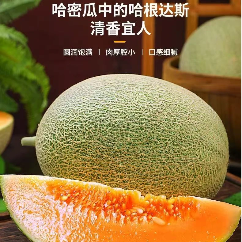 【头茬】正宗山东西州蜜哈密瓜带箱5斤装脆甜多汁坏果包赔