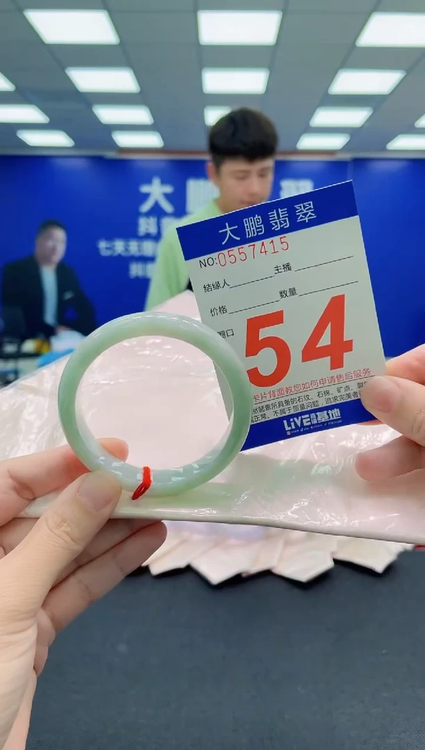 未镶嵌手镯翡翠AAAAAAAAA