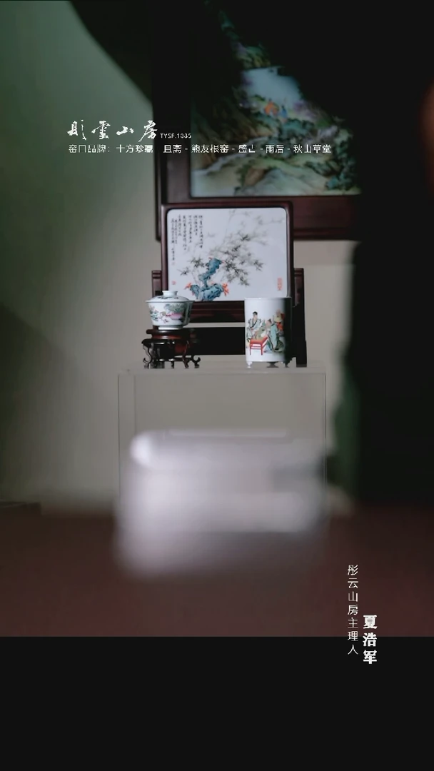 瓷片y****s李子白青花麻姑献寿葵口壶承