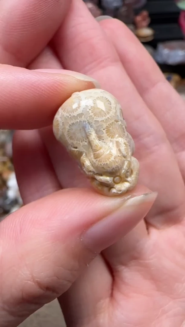 颈饰未镶嵌硅化珊瑚（珊瑚玉）777