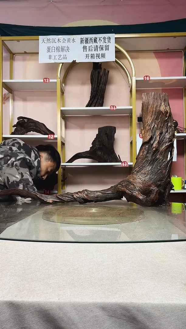 浅**族山丘沉木秒沉水A192