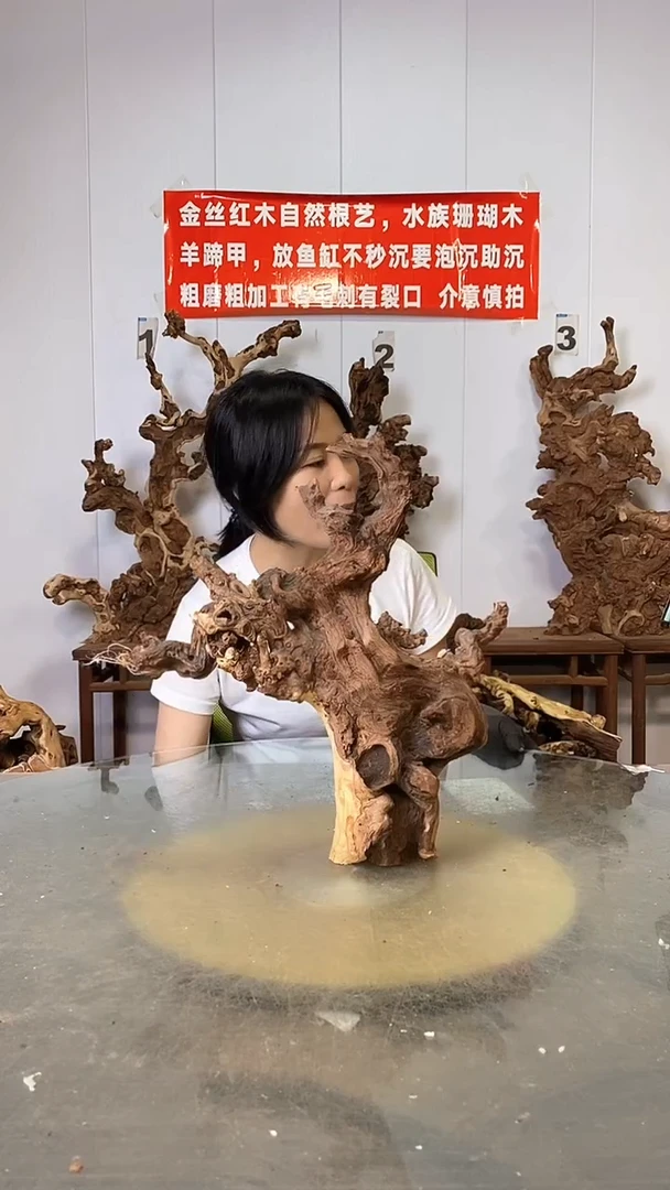 香榧木金丝红木 羊蹄甲