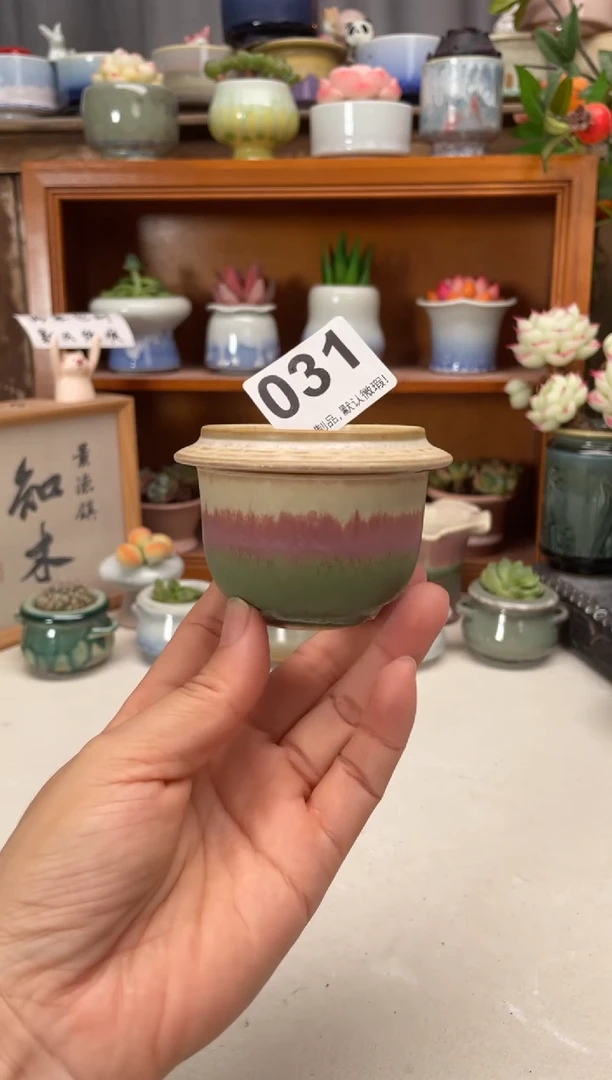瓷片031知木小芳花盆