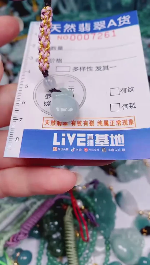 颈饰未镶嵌翡翠00007261