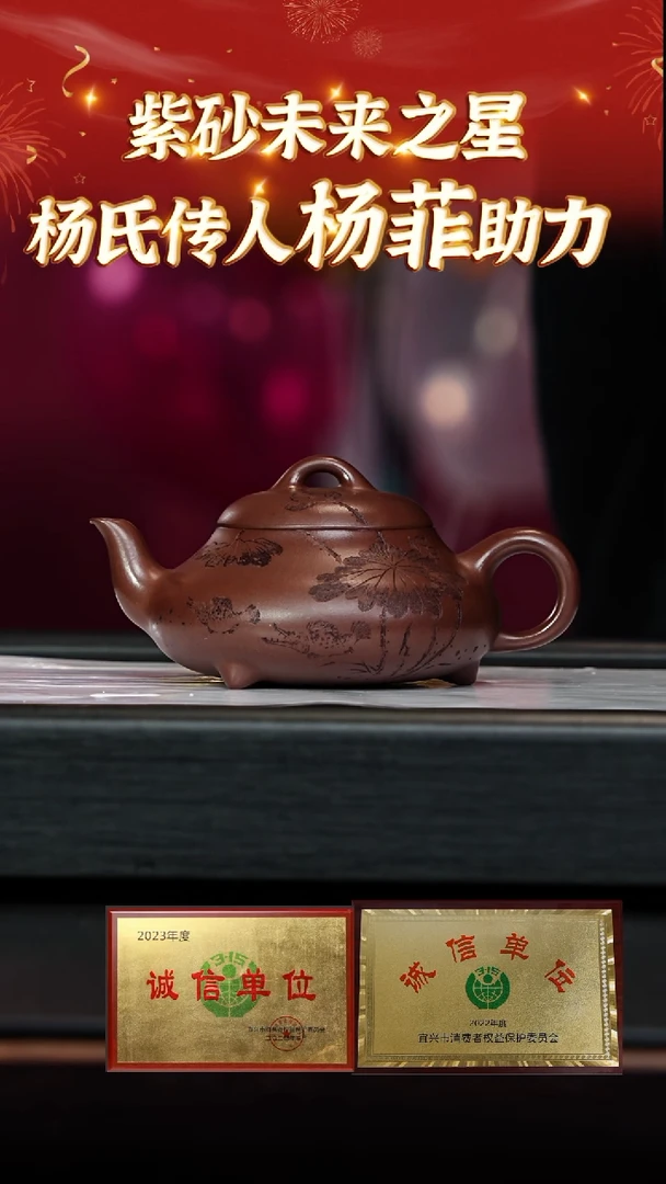 【闪购商品】紫砂茶壶21 杨菲老师专场  彭年紫泥