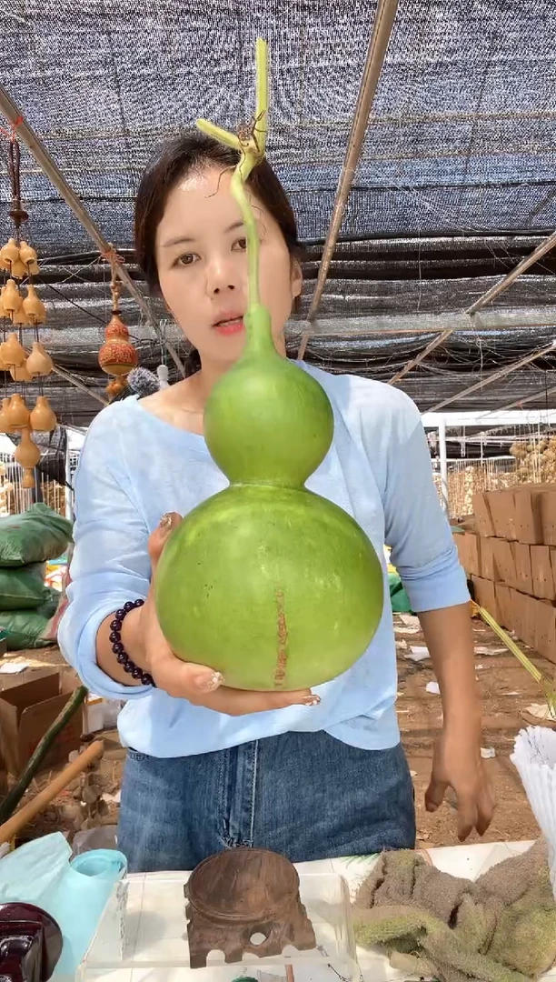 566天然葫芦摆件 一物一拍龙头不保售后微瑕疵