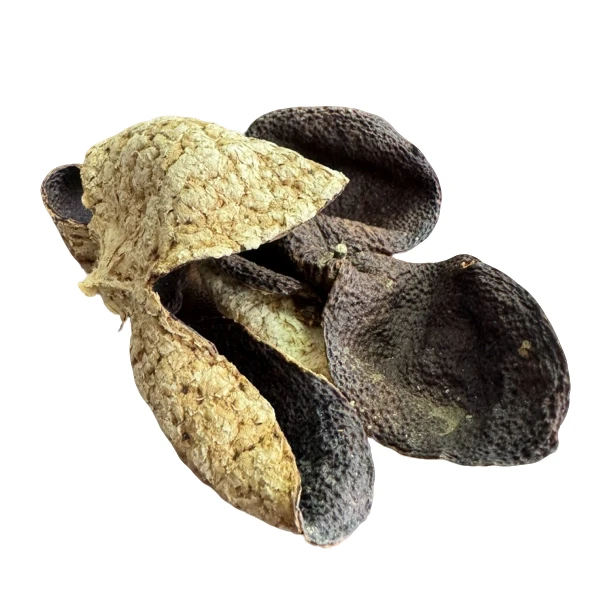 诚益陈皮2020年西甲圈枝生晒大红皮