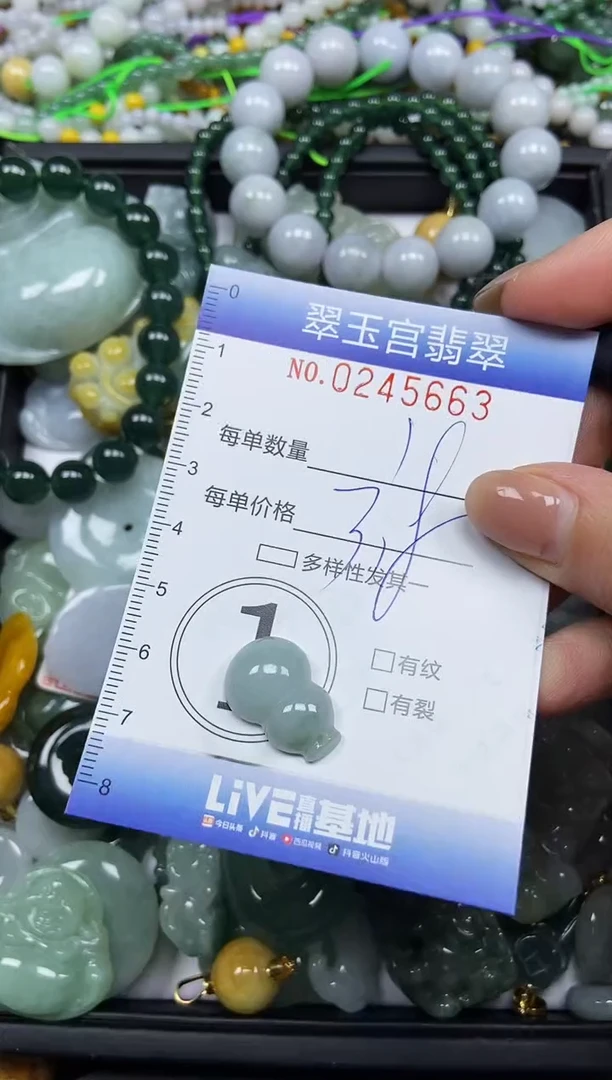 颈饰未镶嵌翡翠闪购C0245663