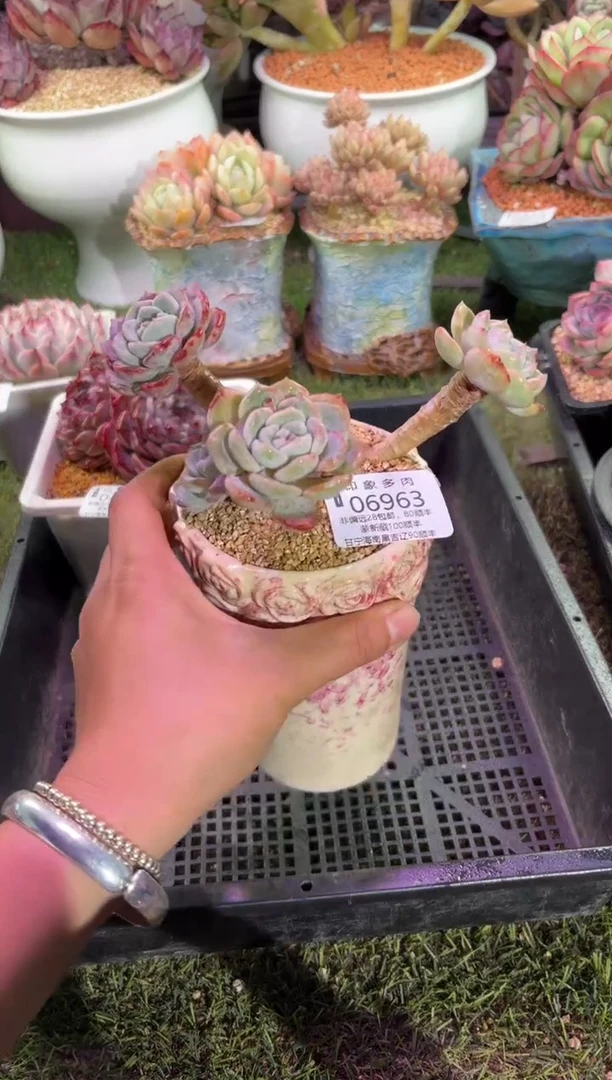 【闪购商品】06963