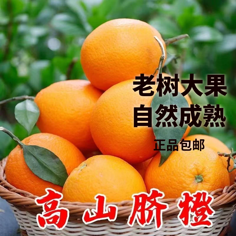 新鲜脐橙现货非赣南脐橙应季橙子薄皮非江西水果整箱甜橙多汁鲜橙