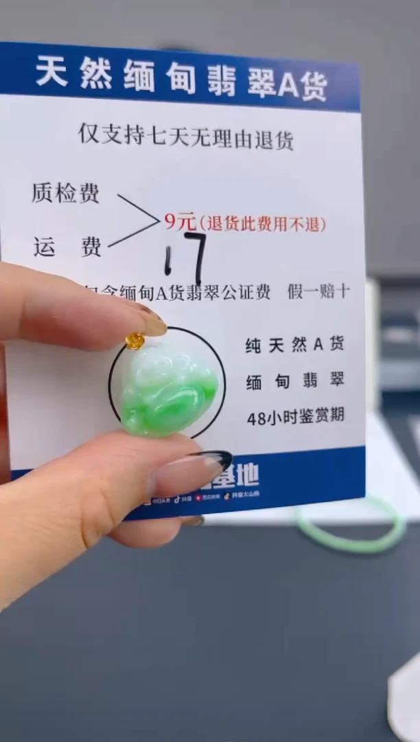 颈饰18K金镶嵌翡翠纯天然缅甸翡翠A货