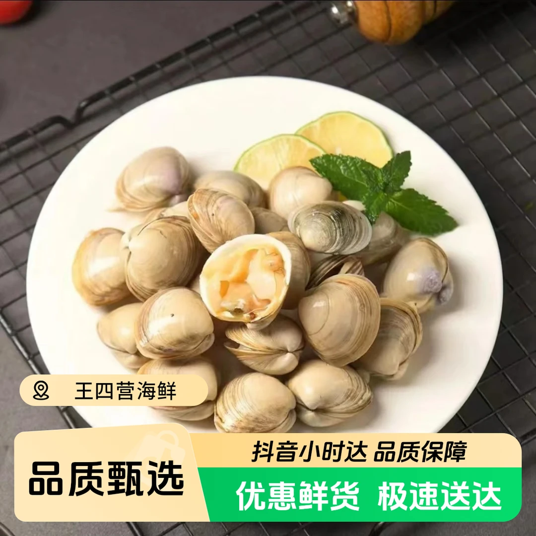 【鲜活】鲜活白蚬子大白贝/500g