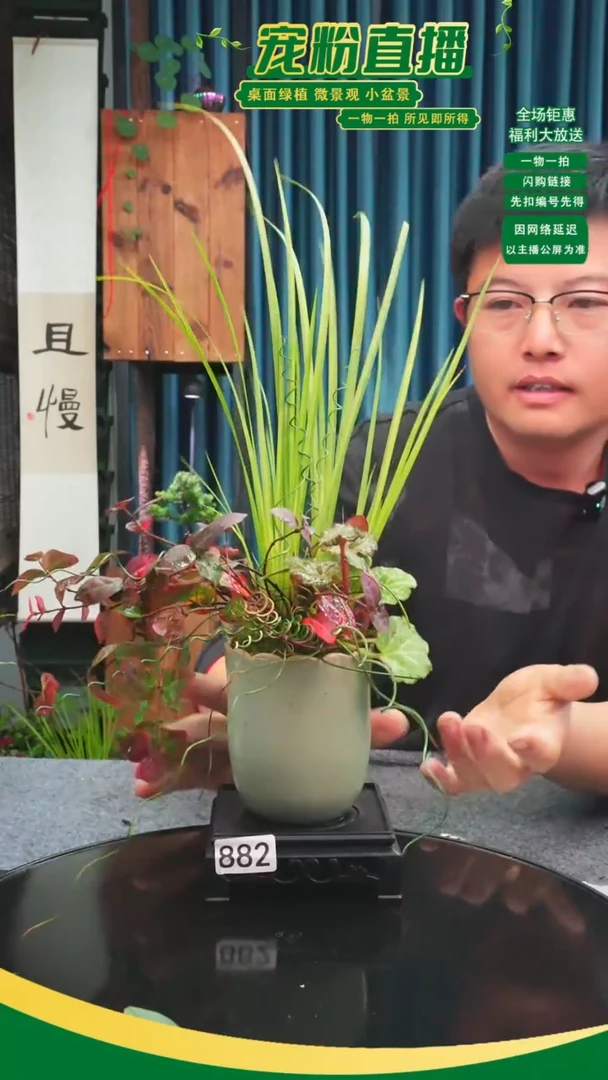 无花朵忘*苔藓微景观882号