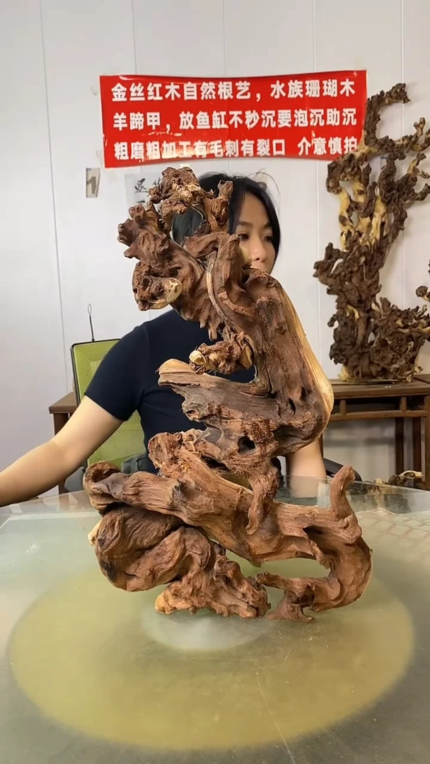 木金**业金丝红木 羊蹄甲