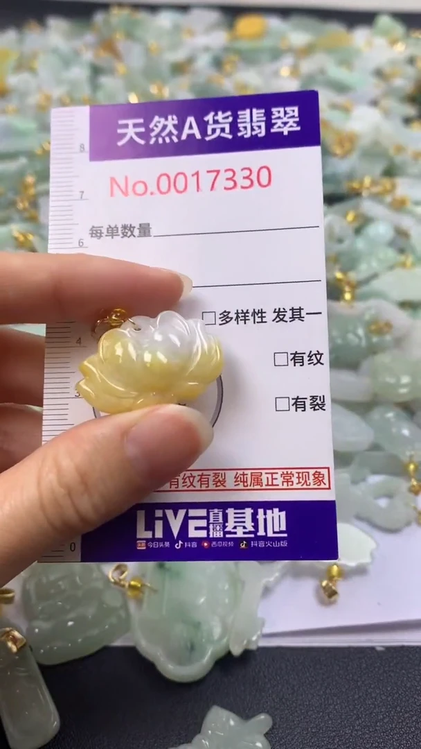 颈饰未镶嵌翡翠1