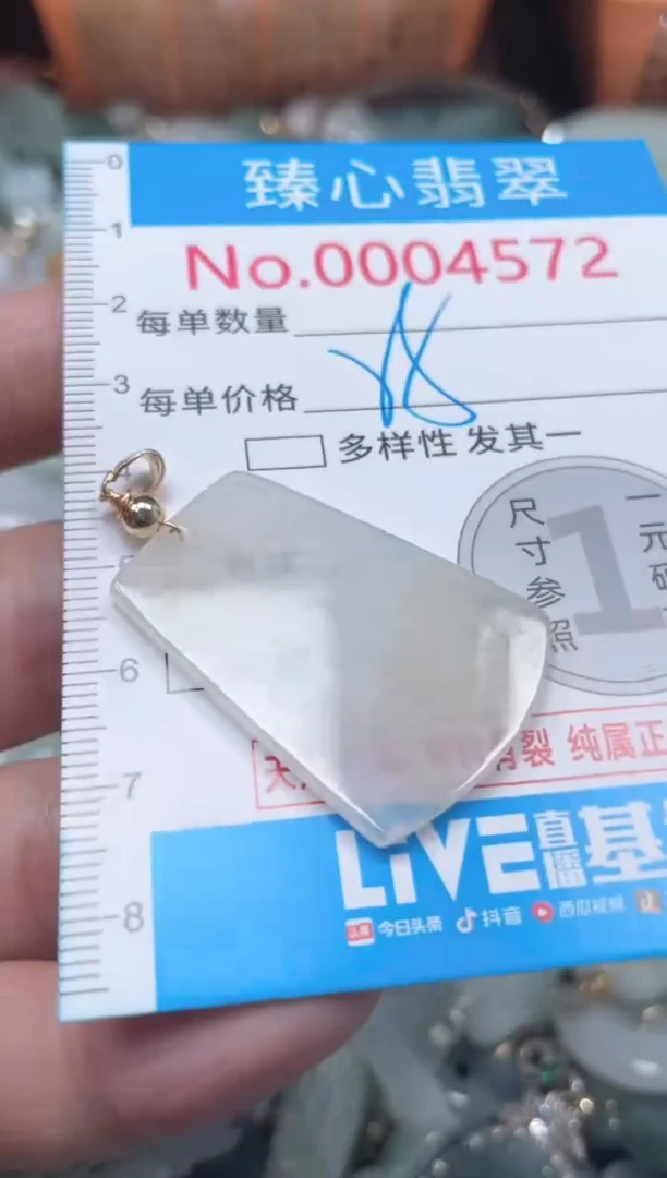 颈饰未镶嵌翡翠4572