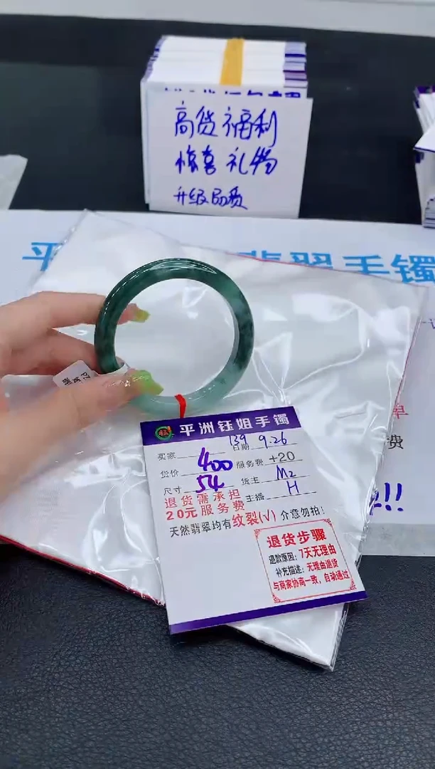 未镶嵌手镯翡翠1
