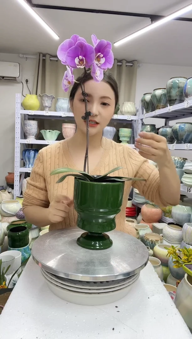 【12.29】花盆链接 高：  17口：12