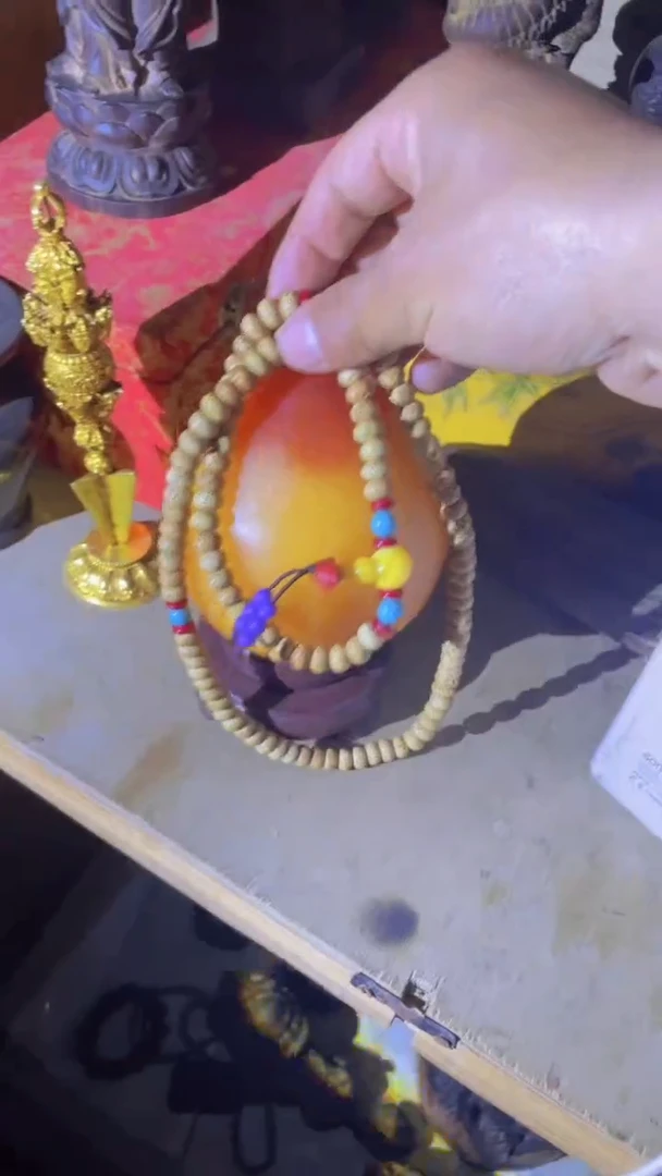 【闪购商品】菩提根/象牙果吊坠精品好物 好物菩提