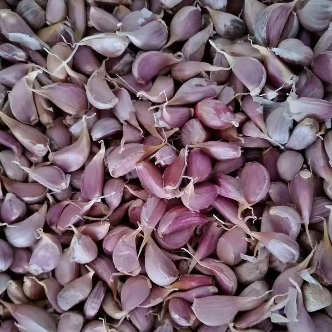 高端算好大蒜拌种大蒜包衣正品叶面肥