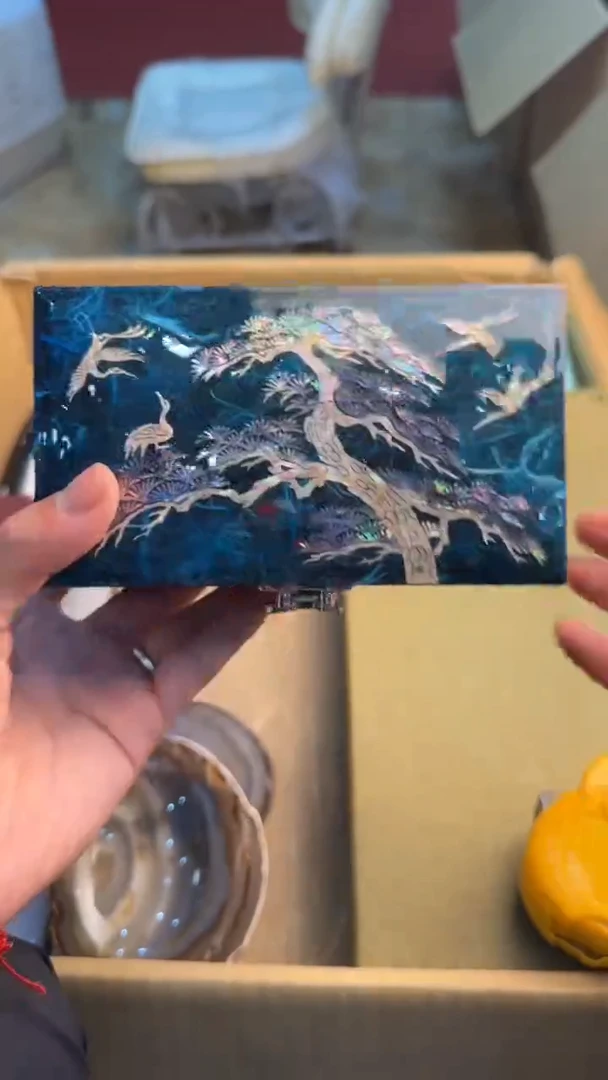 瓷片星*辰88888888      263