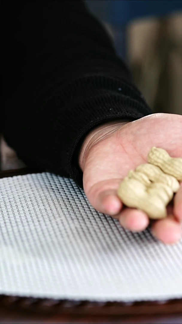 茶壶紫砂5个花生