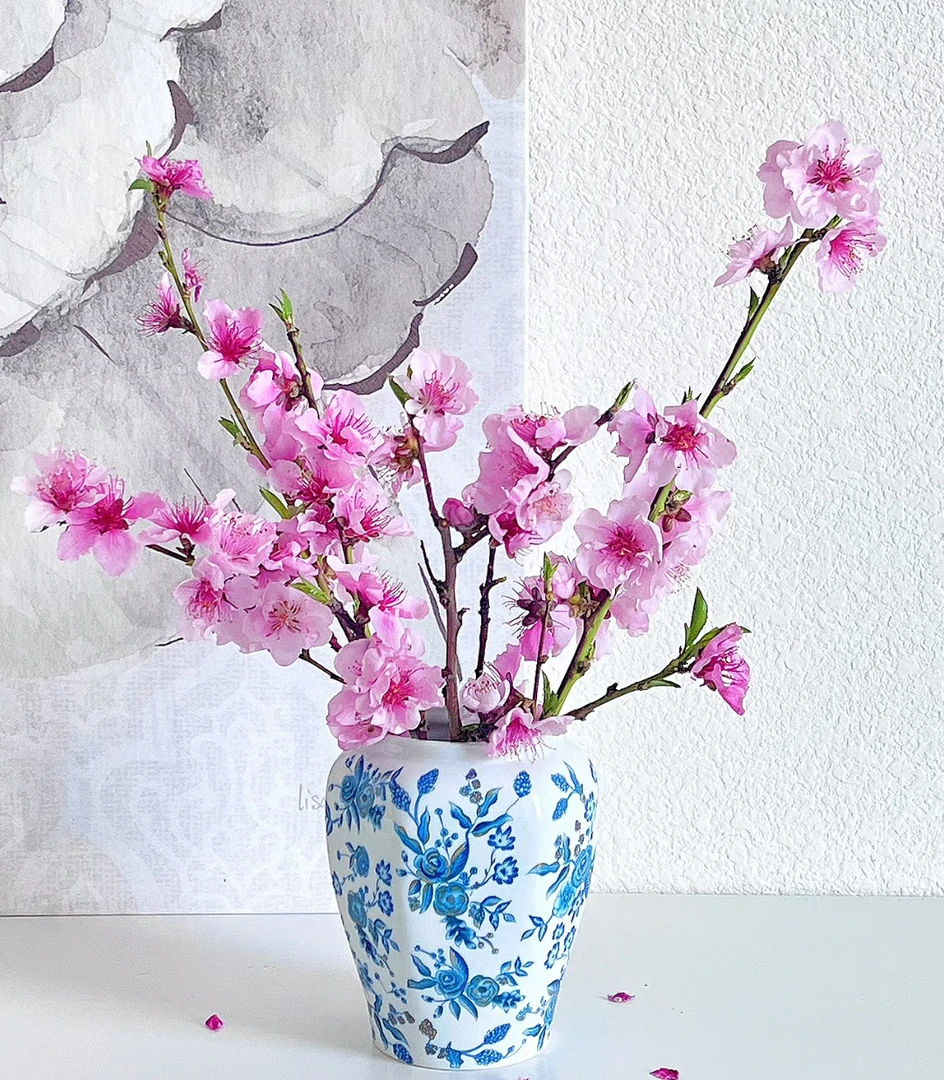 桃花鲜切枝 自带仙气 全场任意两单京东/顺丰