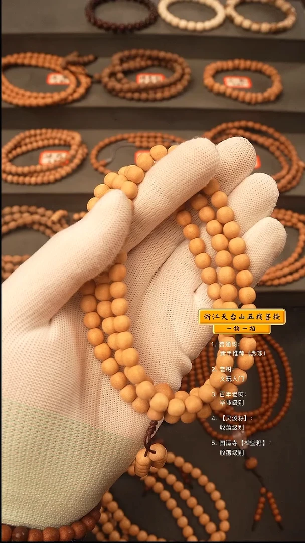 吊坠五线菩提用****2q脖挂