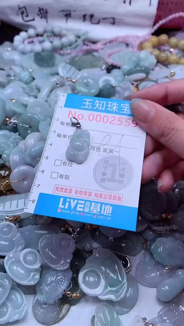 翡翠未镶嵌吊坠(不含链)2559