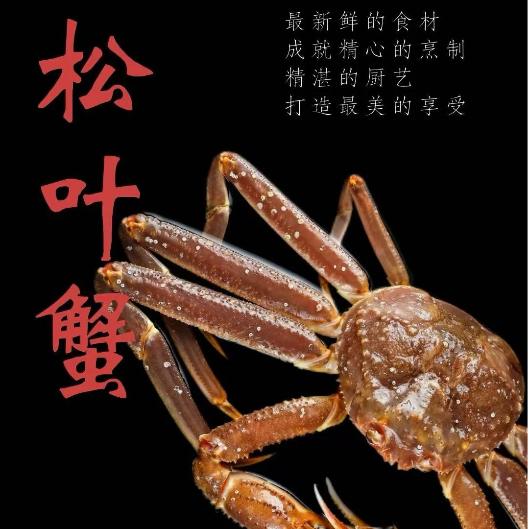 俄罗斯深海活松叶蟹 清蒸 姜葱炒 涮火锅 同城小时达