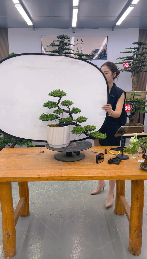 无花朵一物一拍所见所得