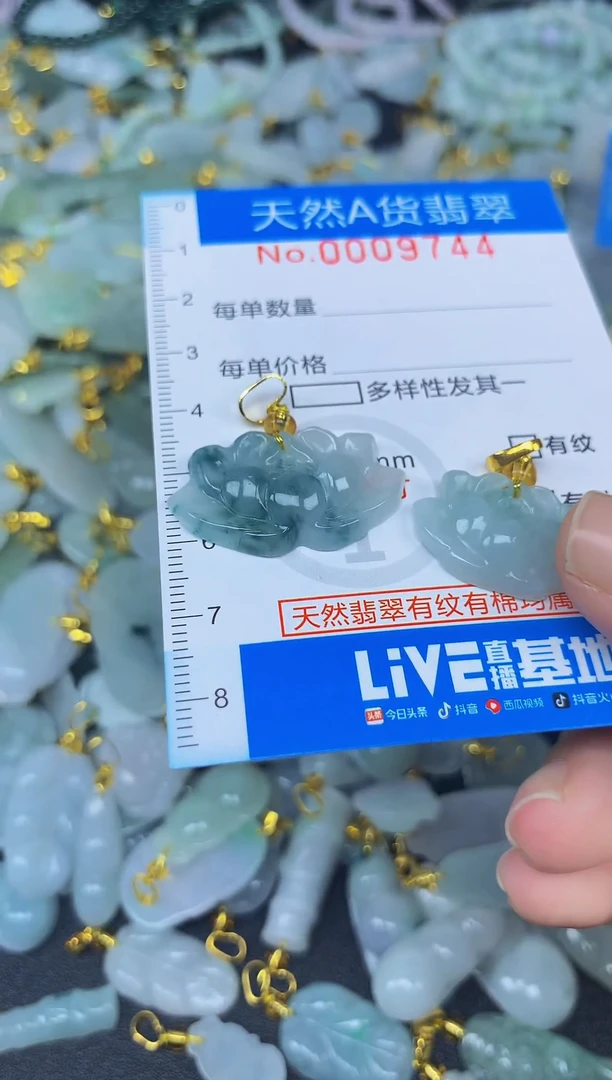 颈饰未镶嵌翡翠踏*行净货挂件-9744