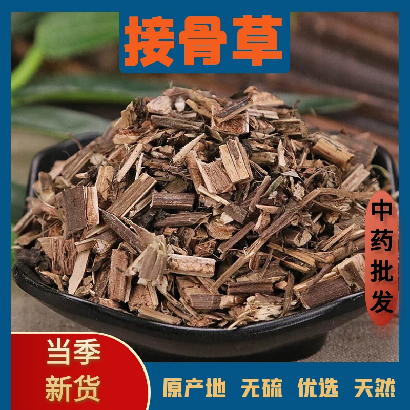 精选野生接骨草中药材100g人工筛选干净无杂质无熏硫色泽自然500g