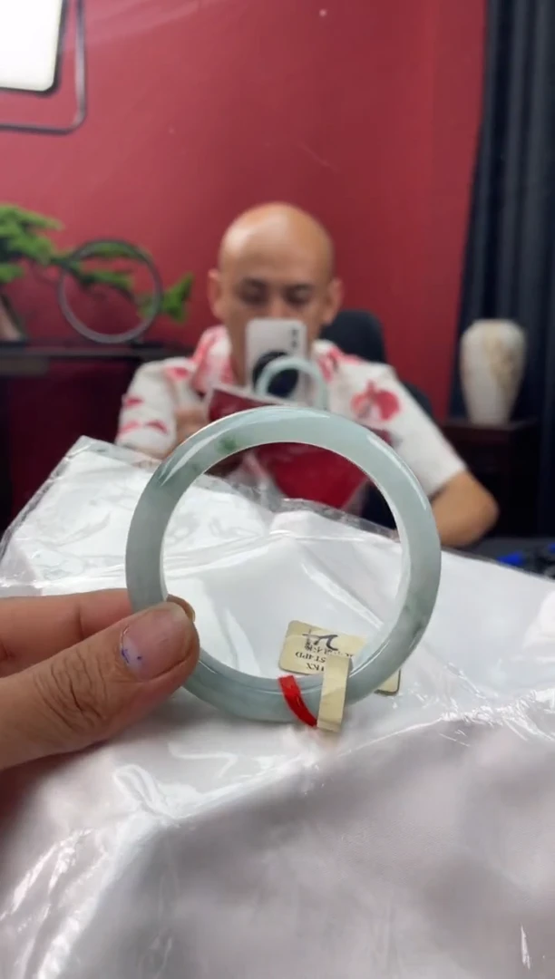 未镶嵌手镯翡翠9