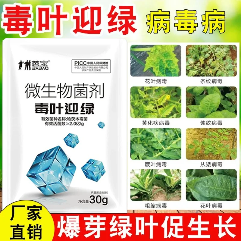 毒叶迎绿病毒专用生物蔬菜西红柿卷叶辣椒疫枯草芽孢杆菌大包装