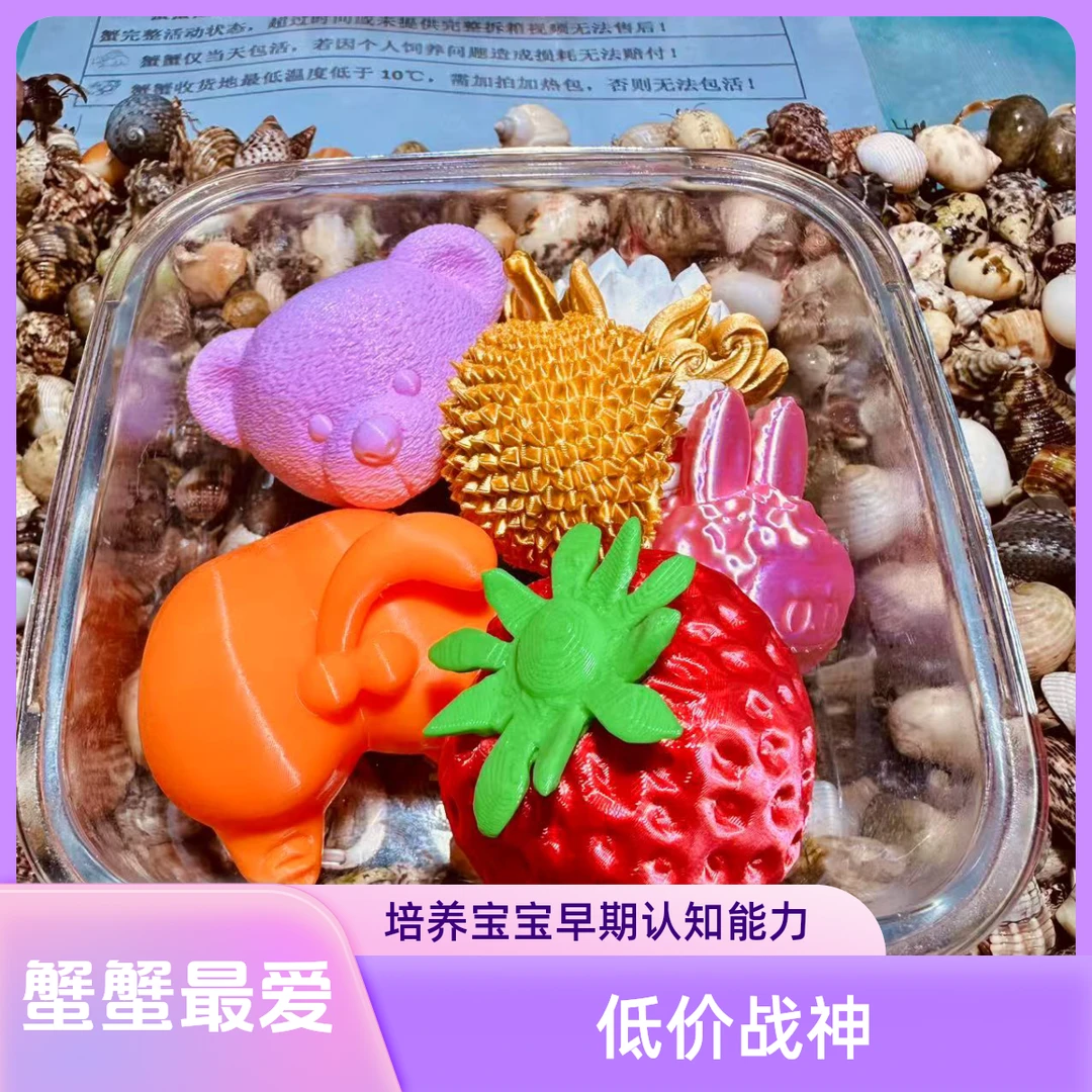 3D打印优选寄居蟹壳