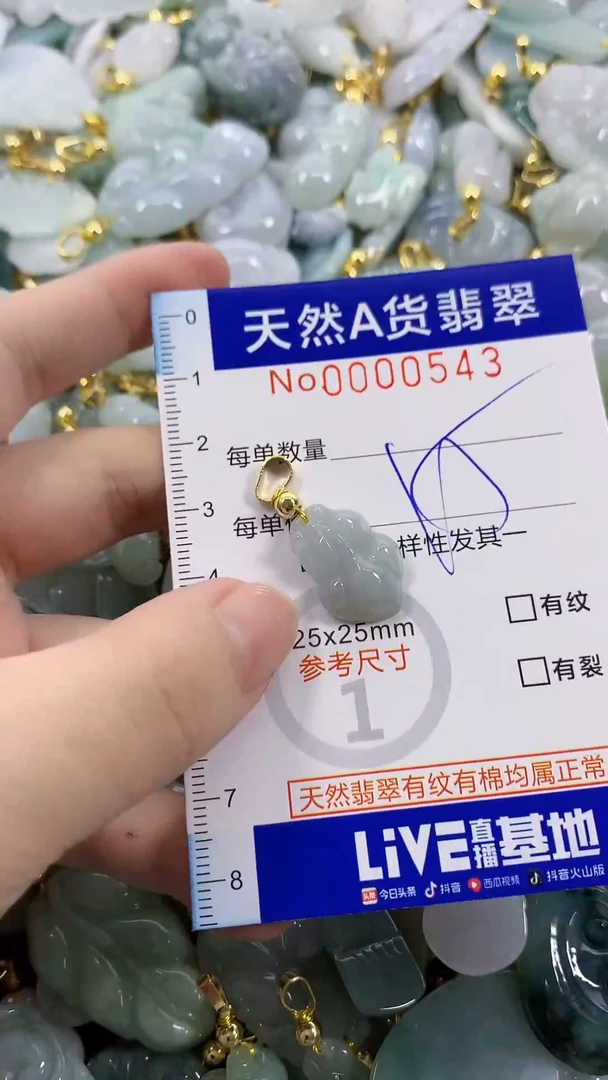 颈饰未镶嵌翡翠天然A货翡翠