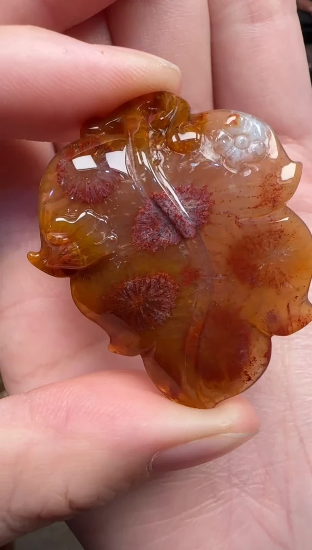 颈饰未镶嵌硅化珊瑚（珊瑚玉）806