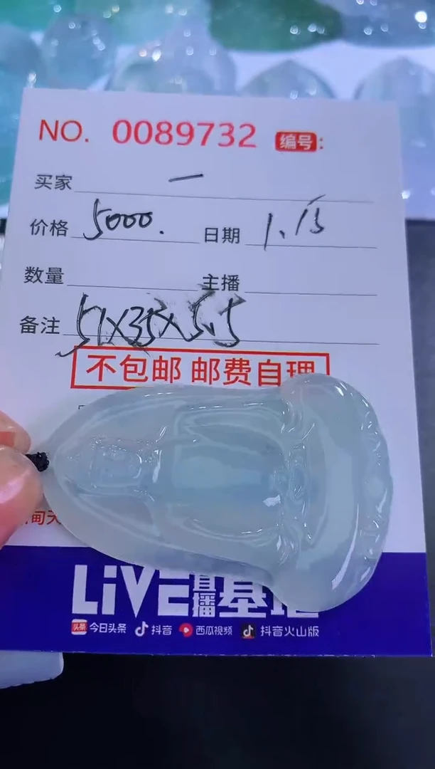 【闪购商品】翡翠颈饰未镶嵌一